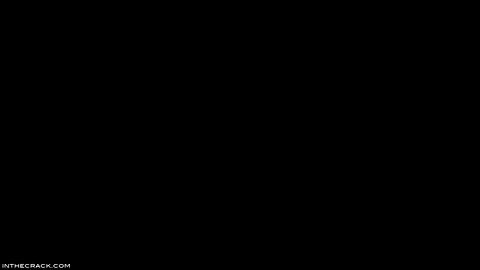 23330