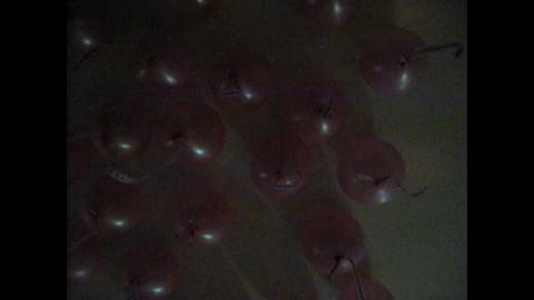 4141