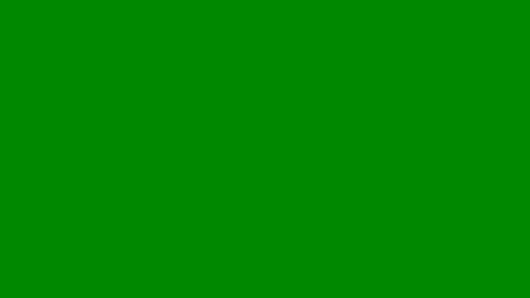 25028