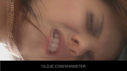 16255
