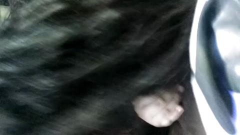 2310