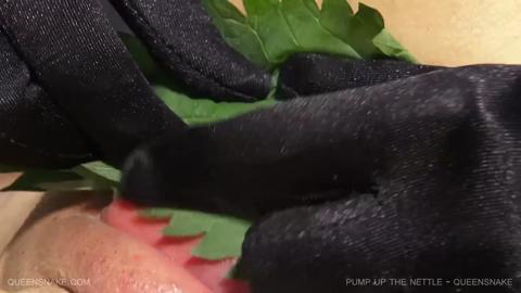 32153